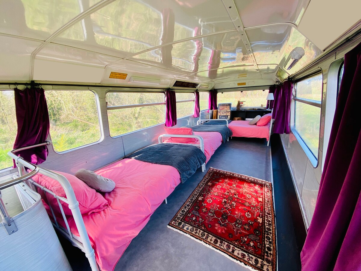 Le Bus violet au Manoir de Bois-en-Ardres