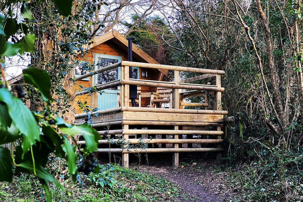 Lifton Ark - Dorset Woodland Retreats