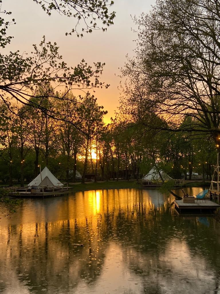 Ark Glamping: genieten in luxe in de natuur