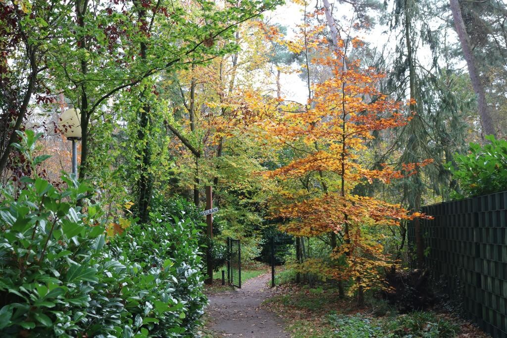 'Huisje Haere' op de Veluwe