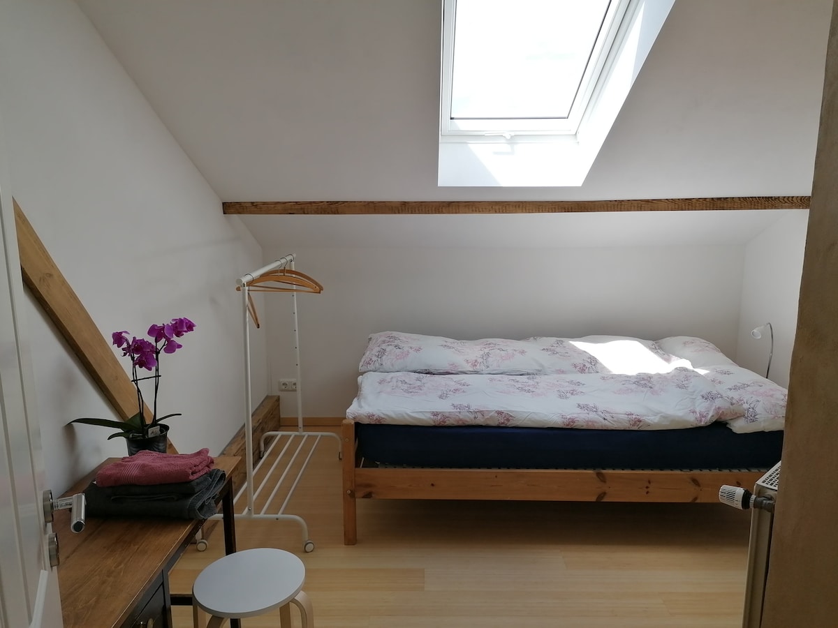 Schönes 1-Zimmer Appartement mit Wohnküche