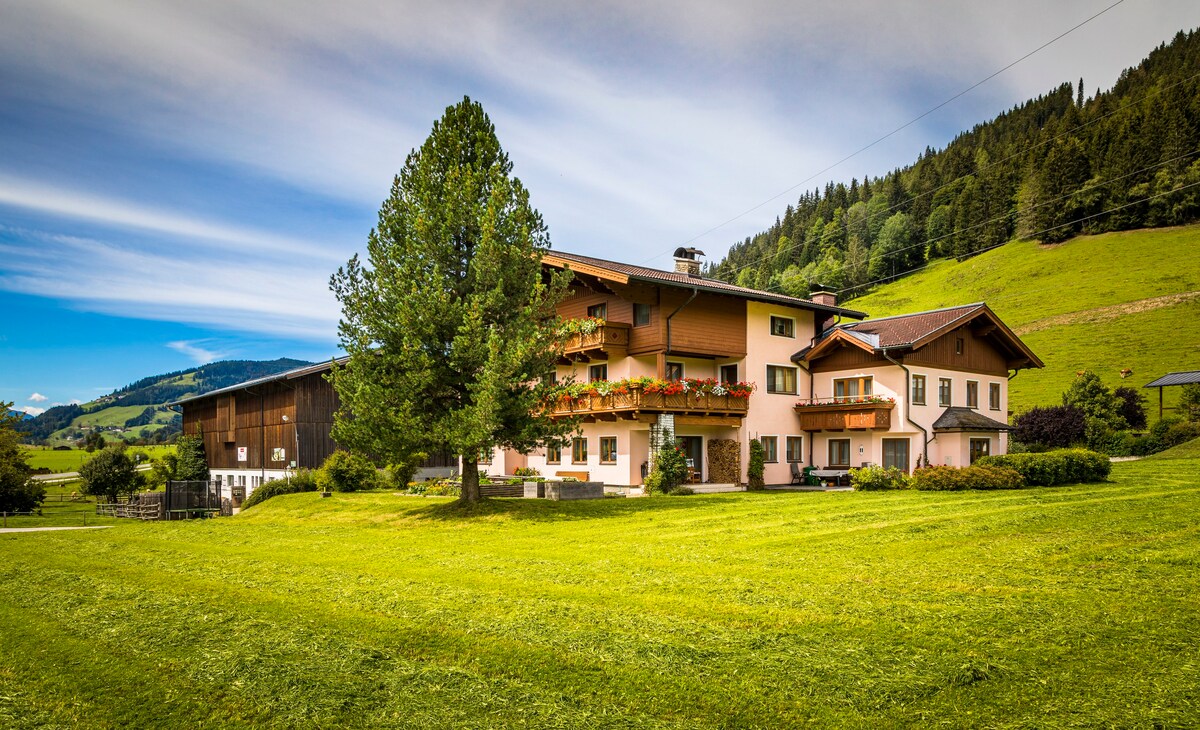 Apartment 1 on organic Farm Vierthal, Wagrain