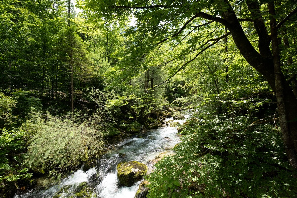 可观赏山景的小别墅Vrsnik