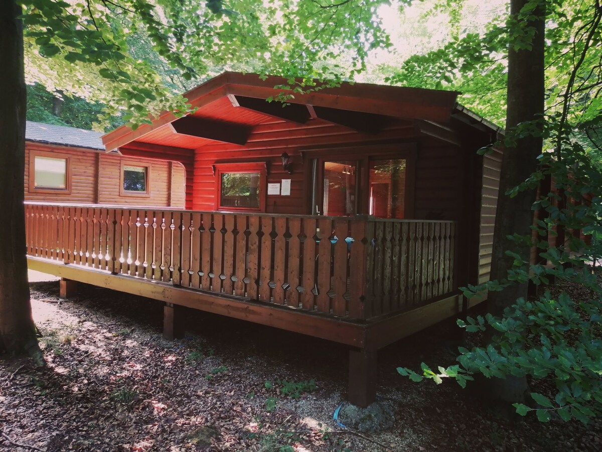 Hawthorn Lodge - Woodland Cabin with Hot Tub