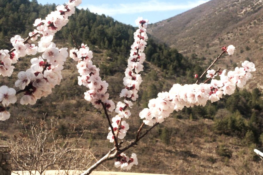 Eagle 's Nest ，欣赏迷人的罗什布鲁恩（ Rochebrune ）美景