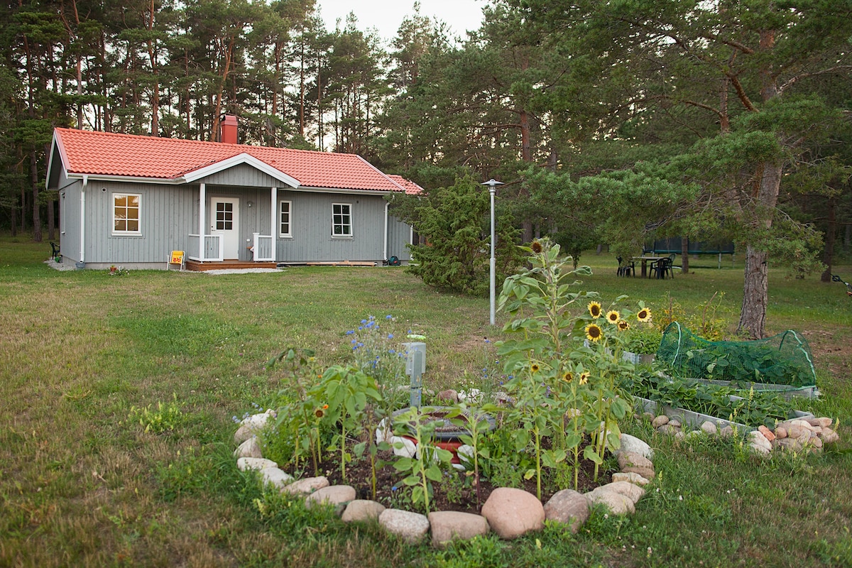 Mysigt sommarhus med stor skogstomt