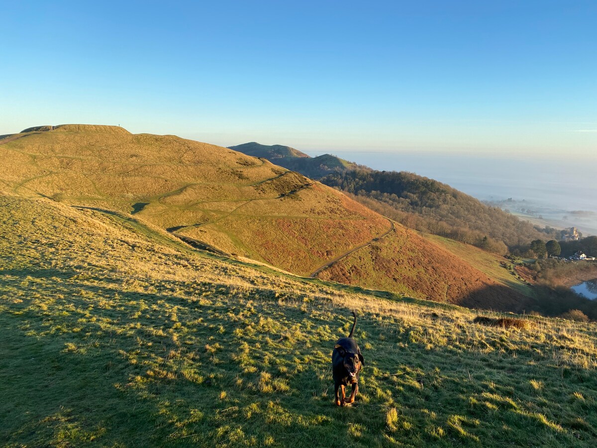 Malvern Hills - THE Oaks