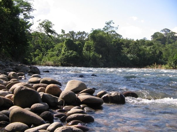 Sarapiqui River Jungle Lodge独立房间