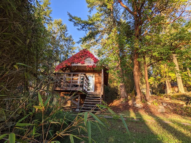 彭德岛（Pender Island）的民宿