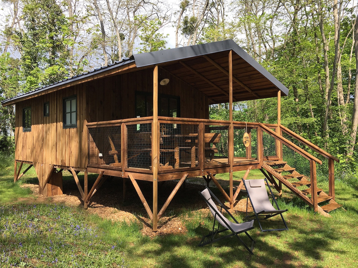 1 Cabane en bois dans la forêt de Chanteloup