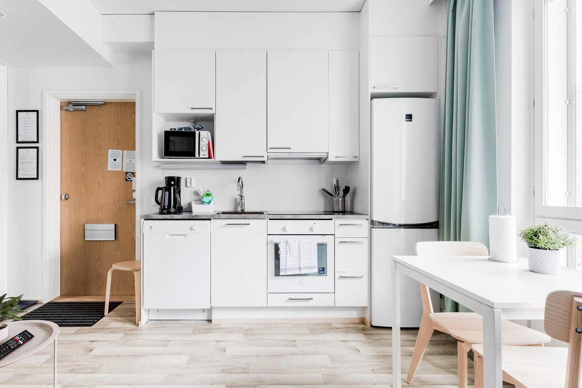 Studio Apartment with a Kitchenette