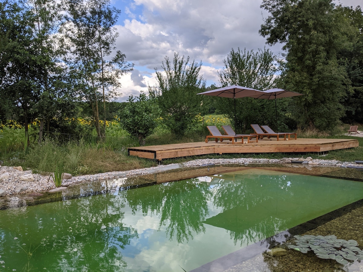 法国乡村修复的谷仓，带天然泳池