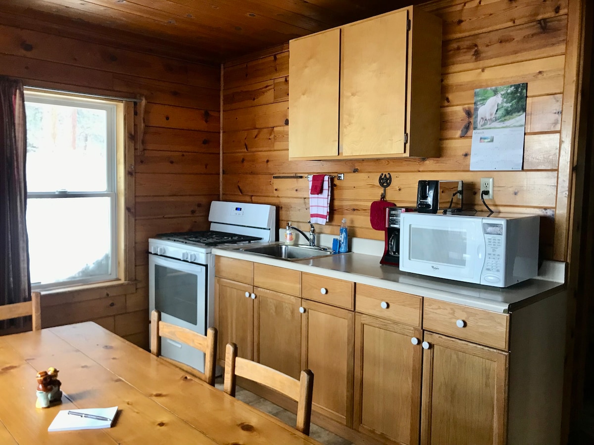 #5 Lakeview Wilderness Cabin at Elk Point Lodge