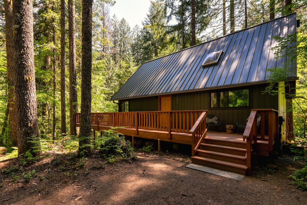 Retro Modern Cabin-Seasonal Stream & HotTub-Dogs 👍