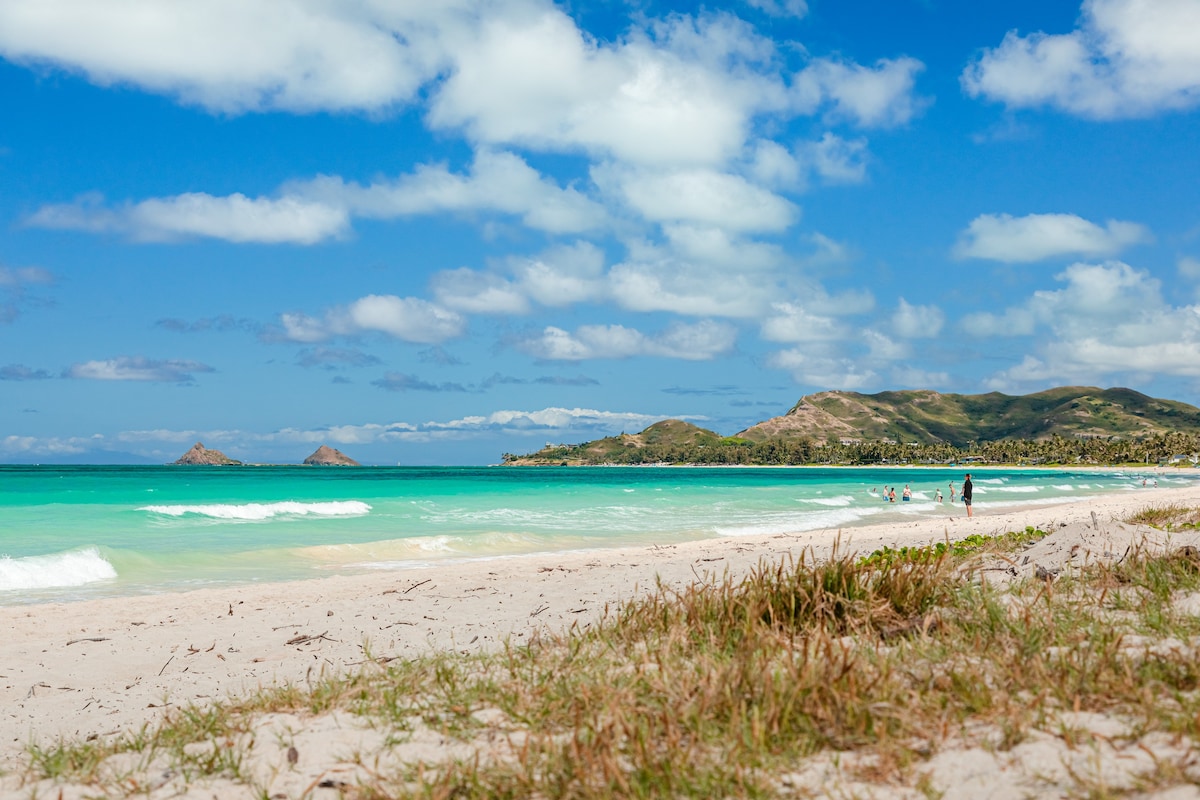 距离凯鲁阿海滩（ Kailua Beach ）、空调和新雷诺（ New Reno ）仅几步之遥