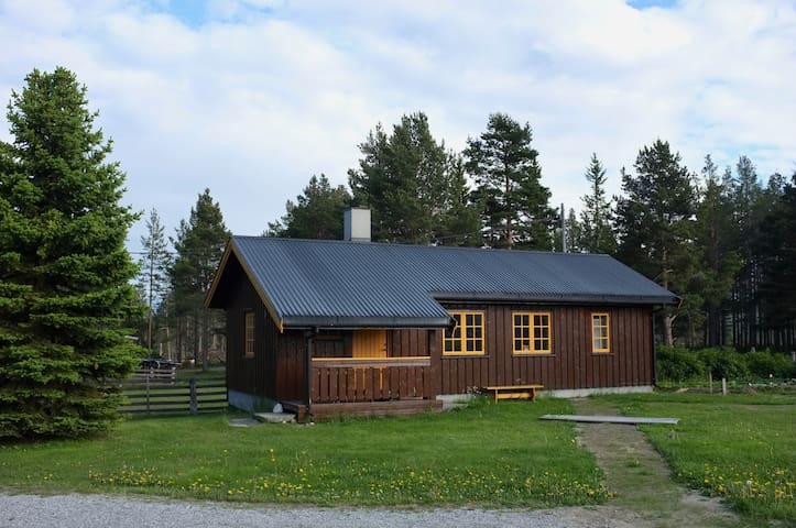 Lesja kommune的民宿