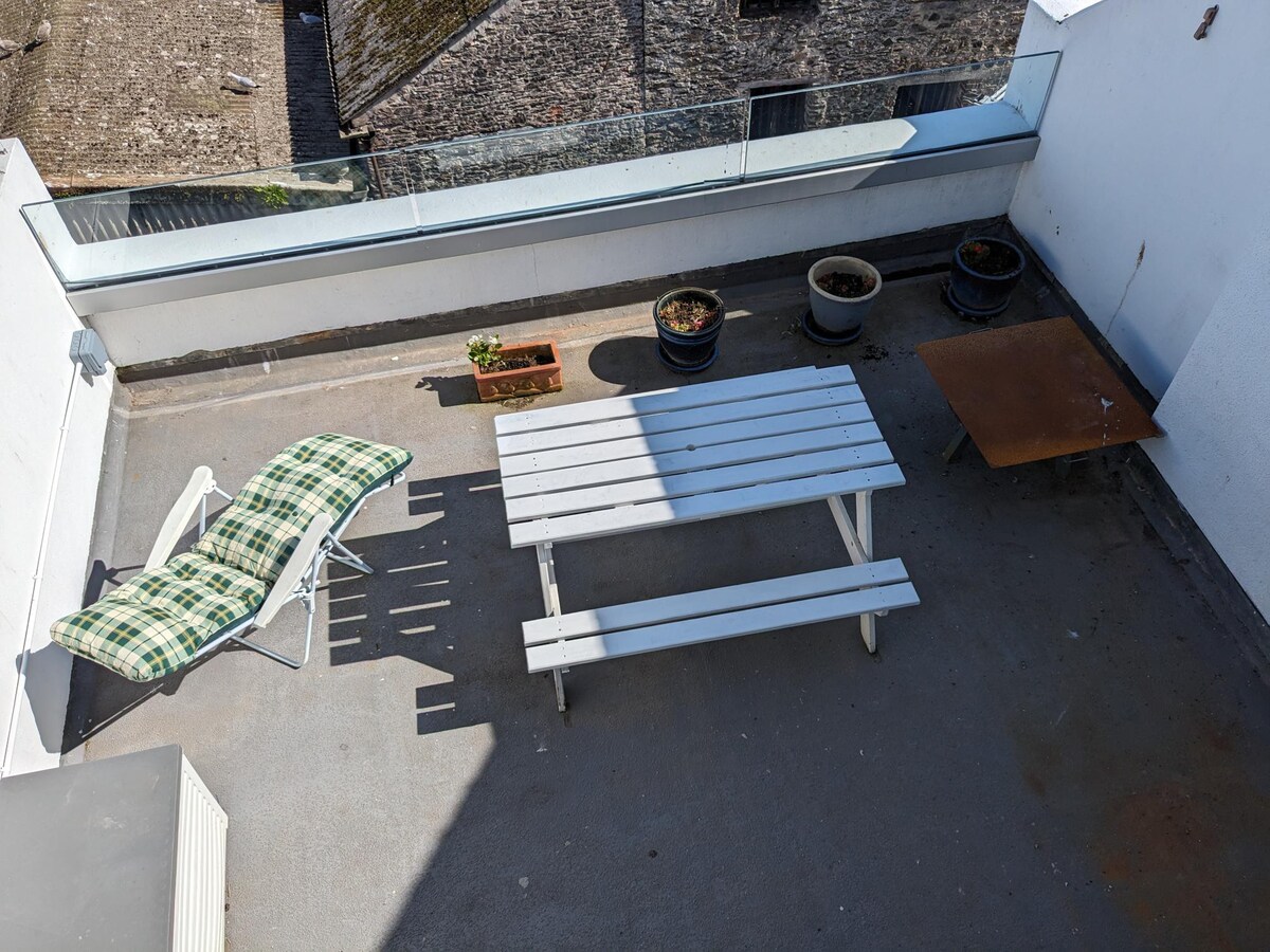 Central flat south roof terrace and parking permit