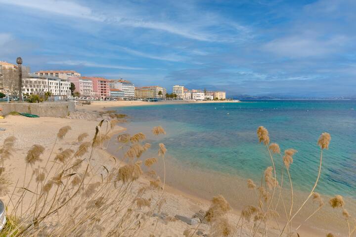 阿雅克肖（Ajaccio）的民宿