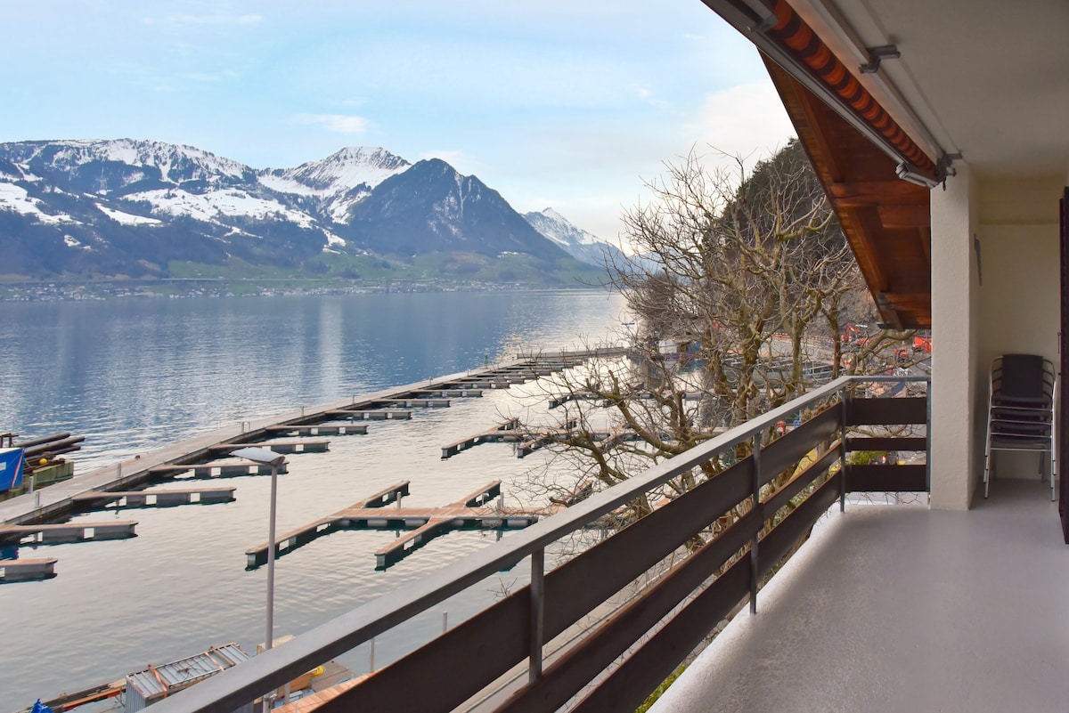 位于卢塞恩湖（ Lake Lucerne ）沿岸的迷人公寓