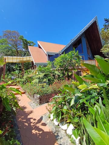 Barrio Orquídeas, Provincia de Puntarenas, Monteverde的民宿