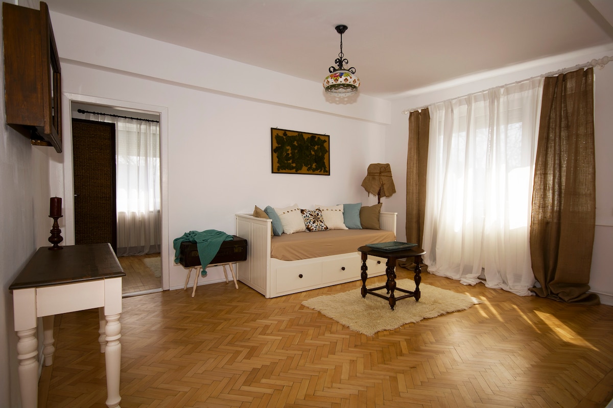 Apartament in mijlocul orasului Art Nouveau Oradea