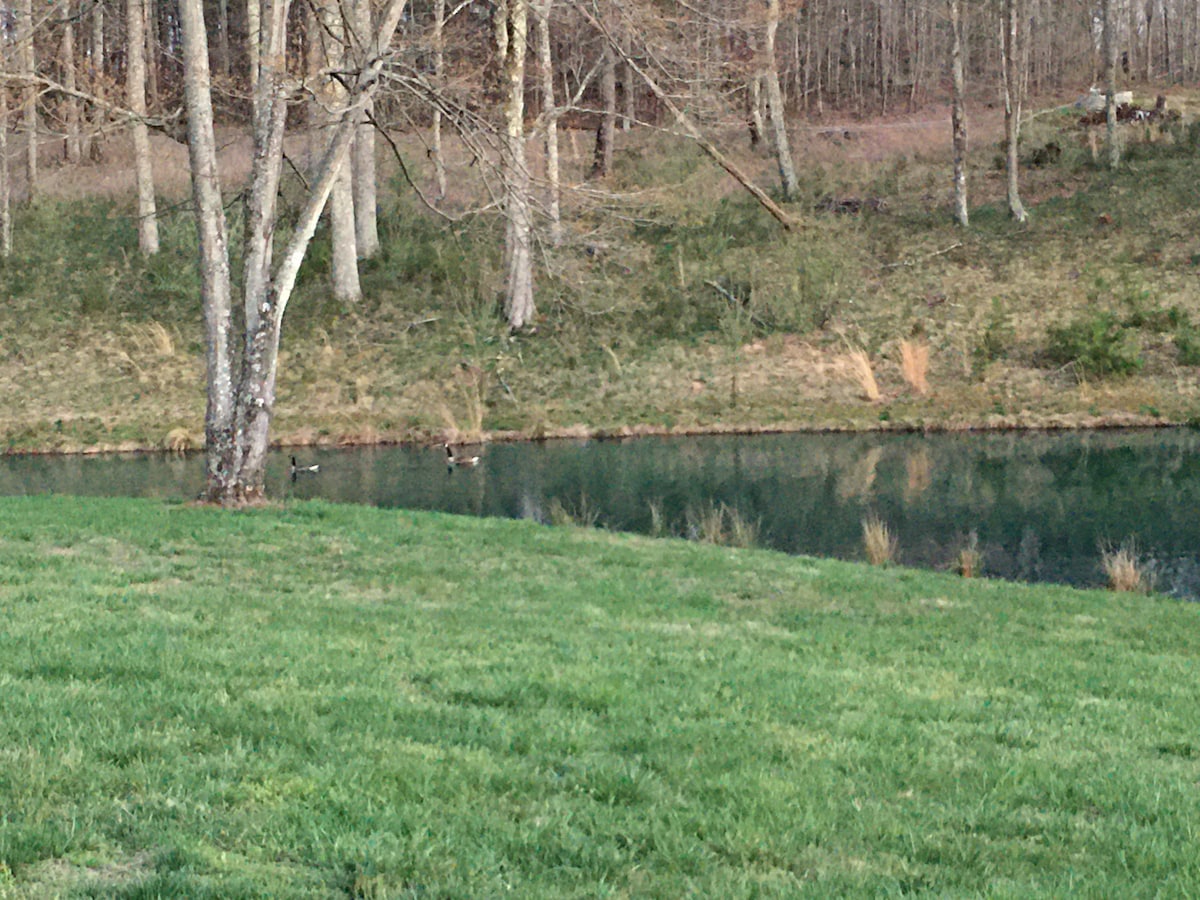 在池塘对面放松身心， 16 +钓鱼葡萄酒之乡