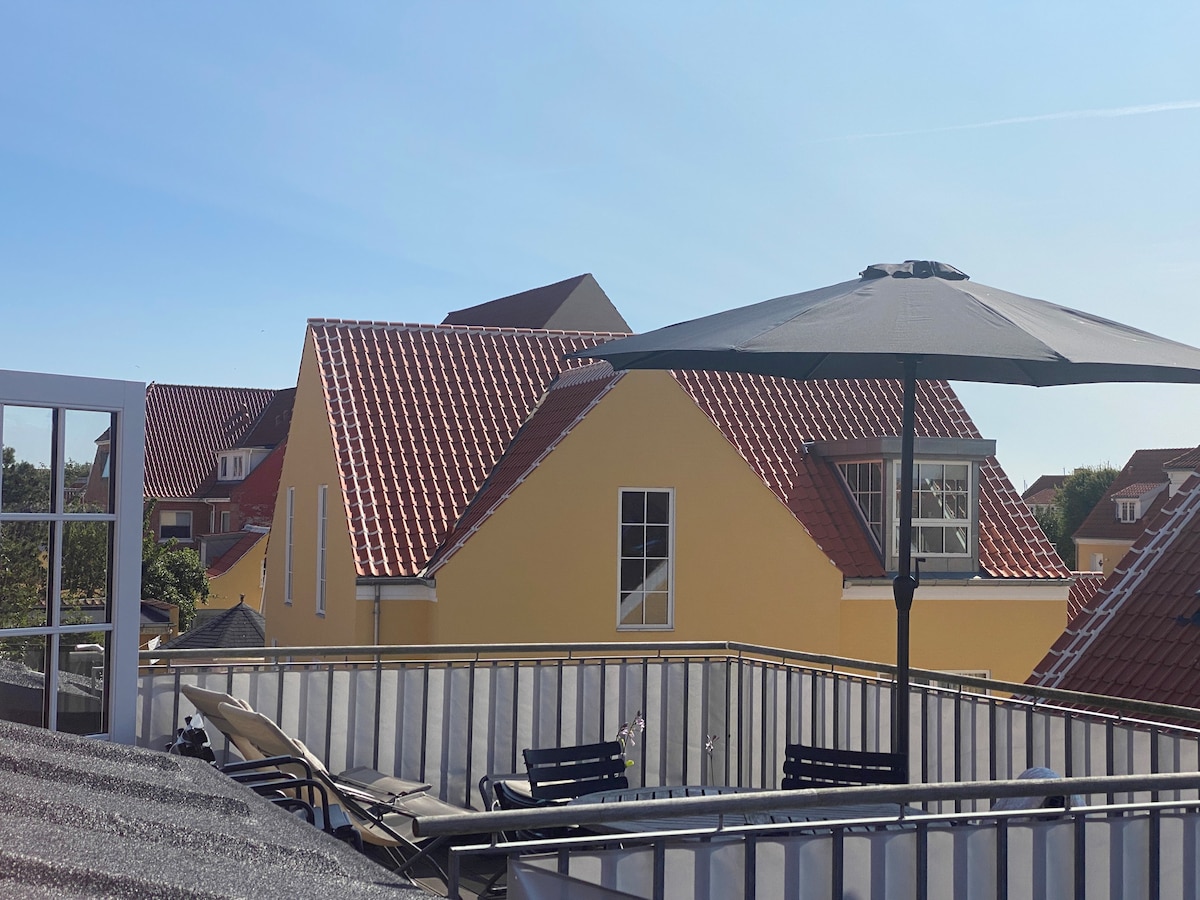 顶层公寓和屋顶， Skagen