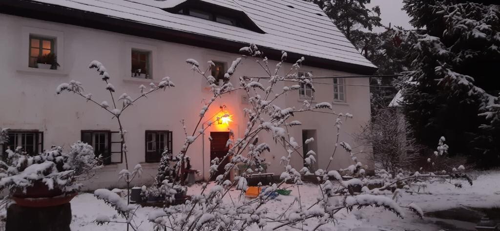 ENJOY COZY ATTIC Sauna+MountainViews+Garden+Forest