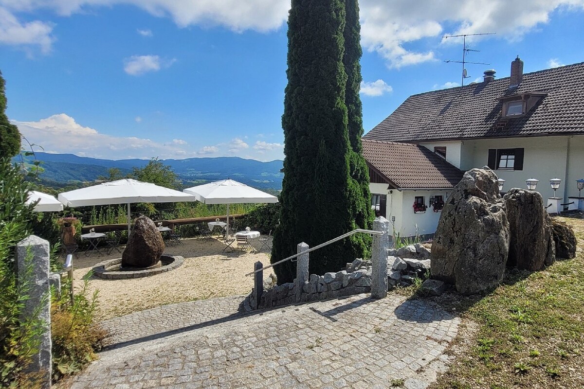 Landhaus Lehnerhof (Schaufling) ，单房金属