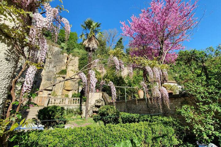 普瓦捷（Poitiers）的民宿