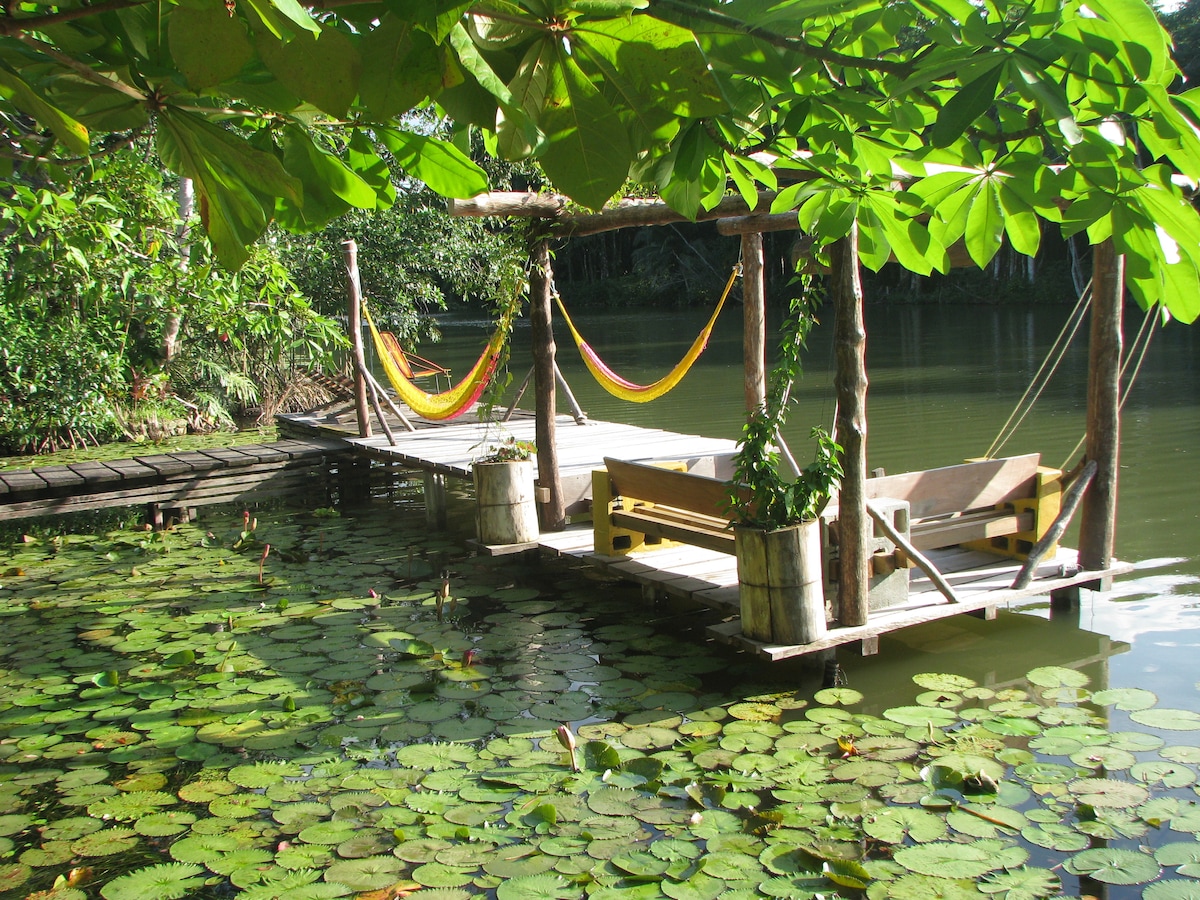 Jungle Loft Dorm Bed 1 HOTELITO PERDIDO