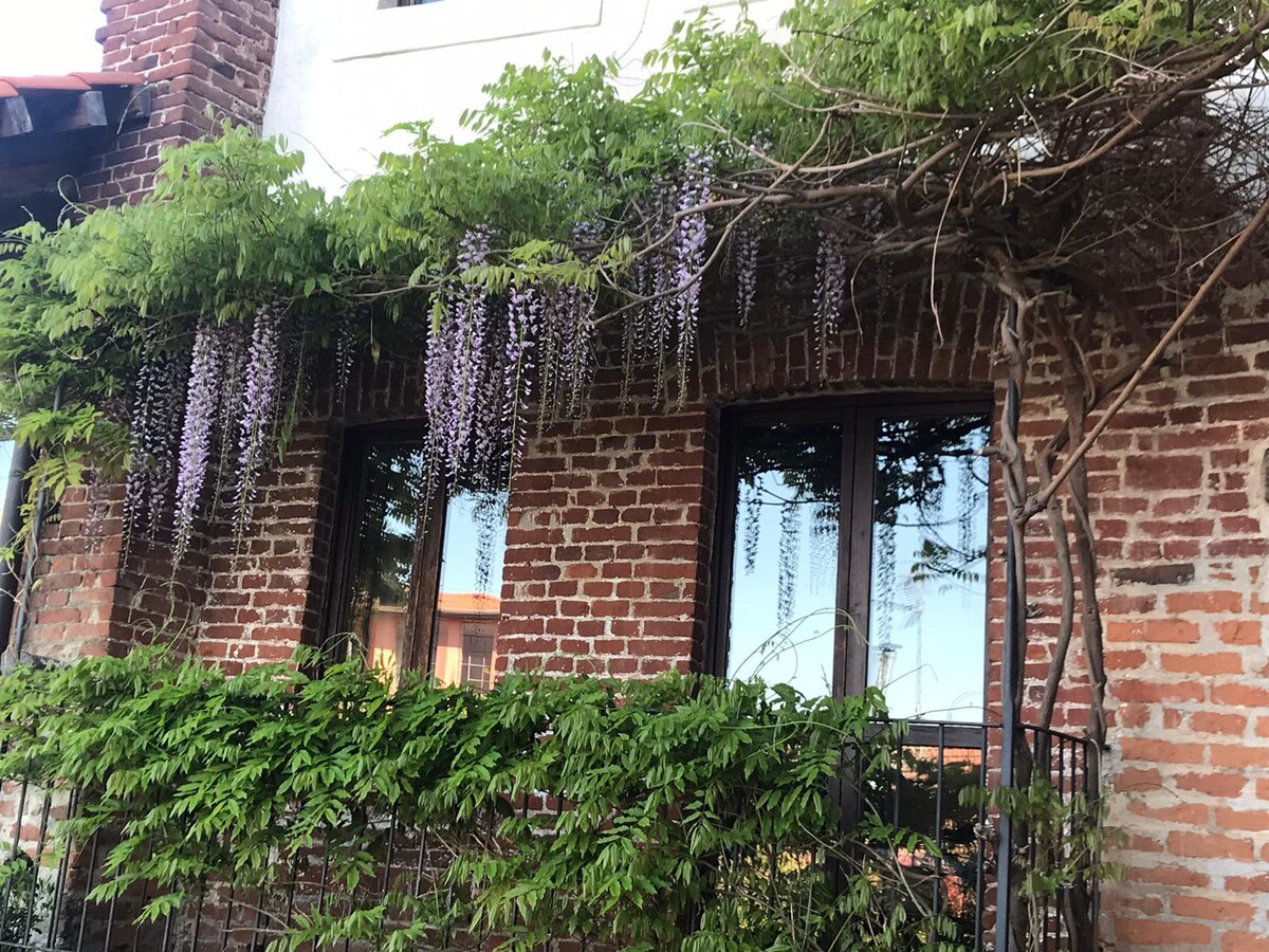 紫藤屋（ The Wisteria House ）