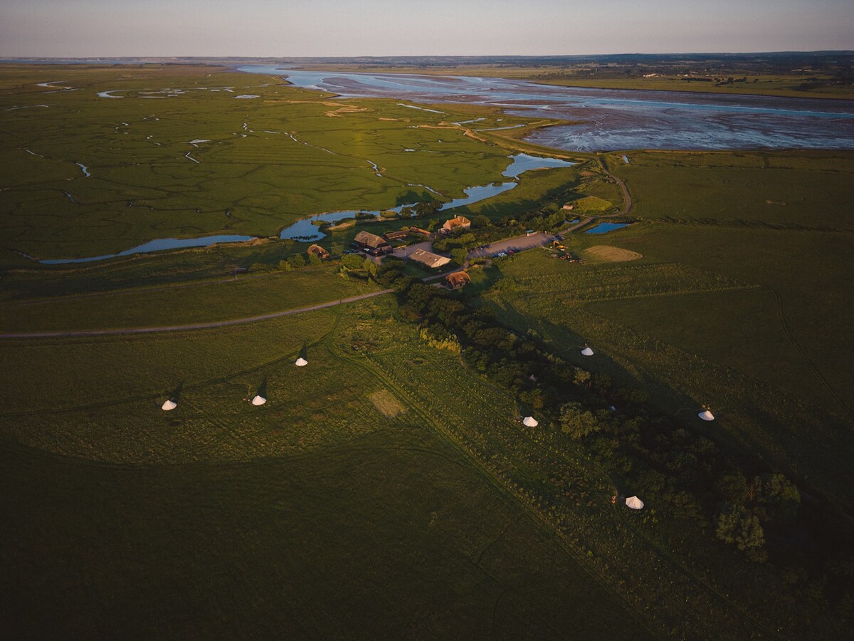 Woodland Bell Tents  - at Elmley Nature Reserve