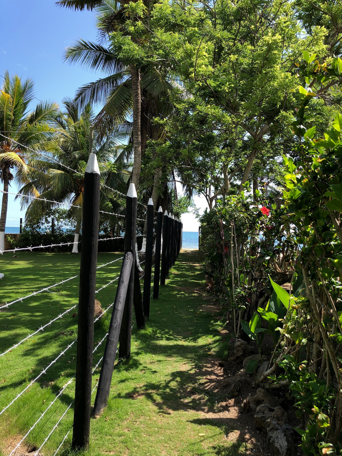 Vacaciones soñadas en Finca Las Gaviotas, Coveñas