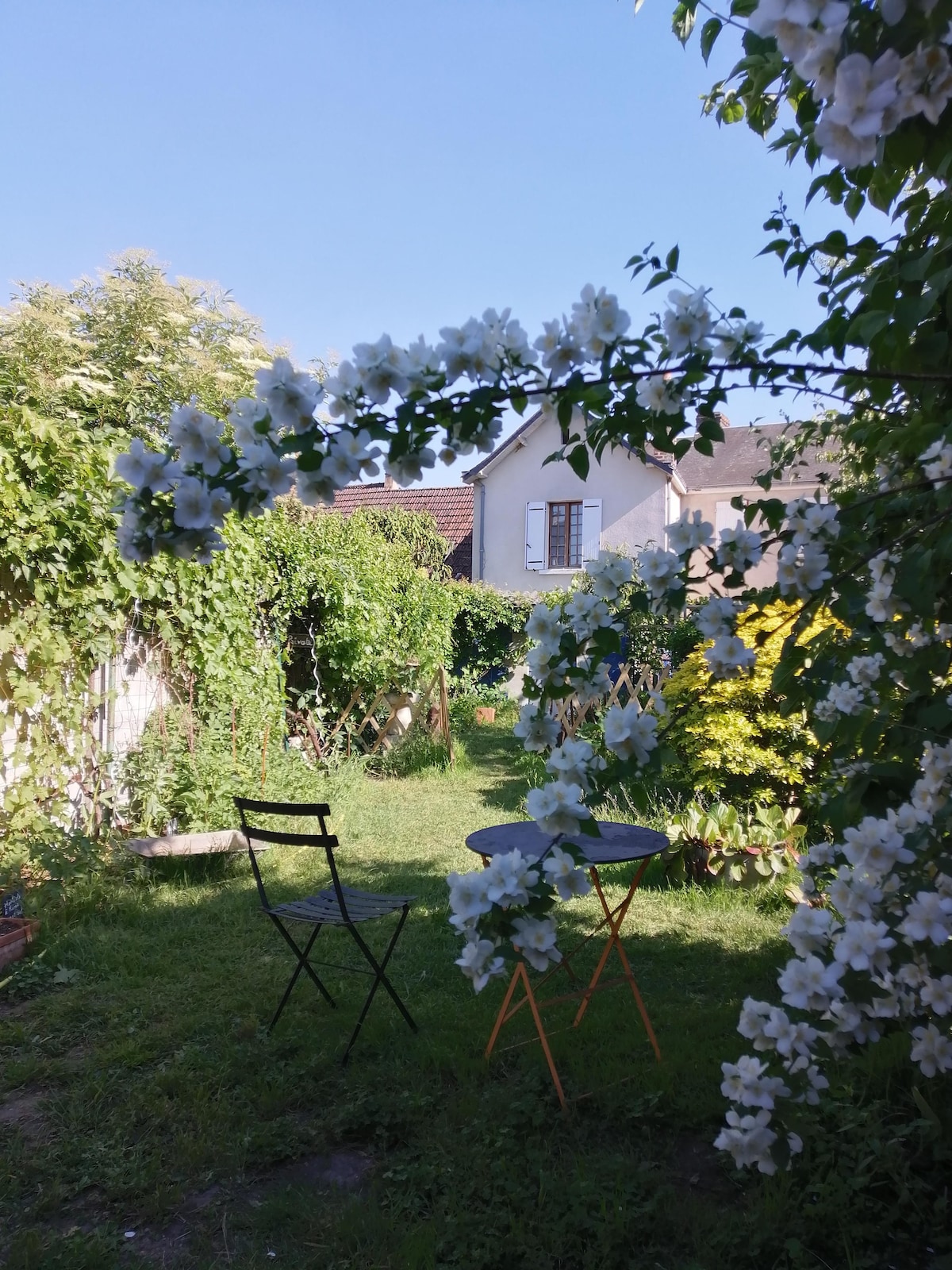 Charming cottage 3* in the Loir and Loire valleys