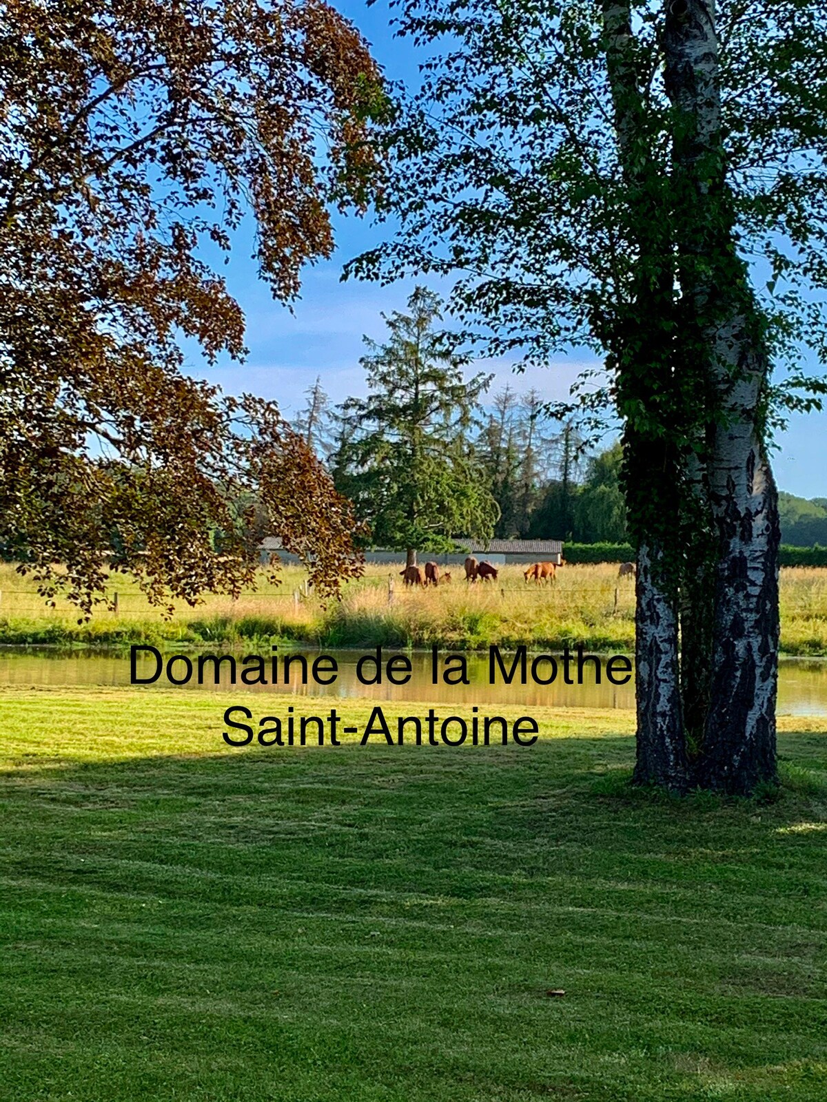 Domaine de la Mothe Saint-Antoine