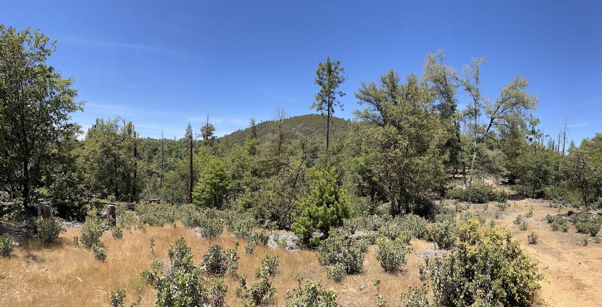 12 Secluded Acres near Yosemite National Park