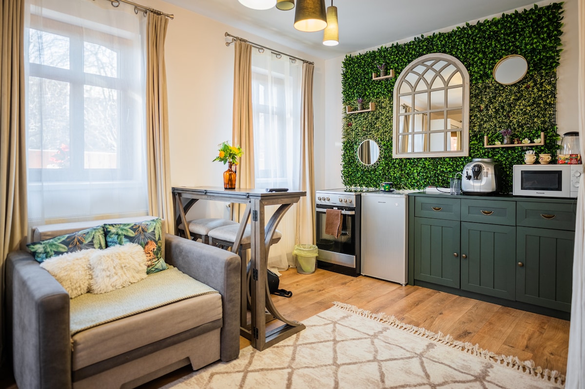 Tailor客房-绿色、舒适和现代设计