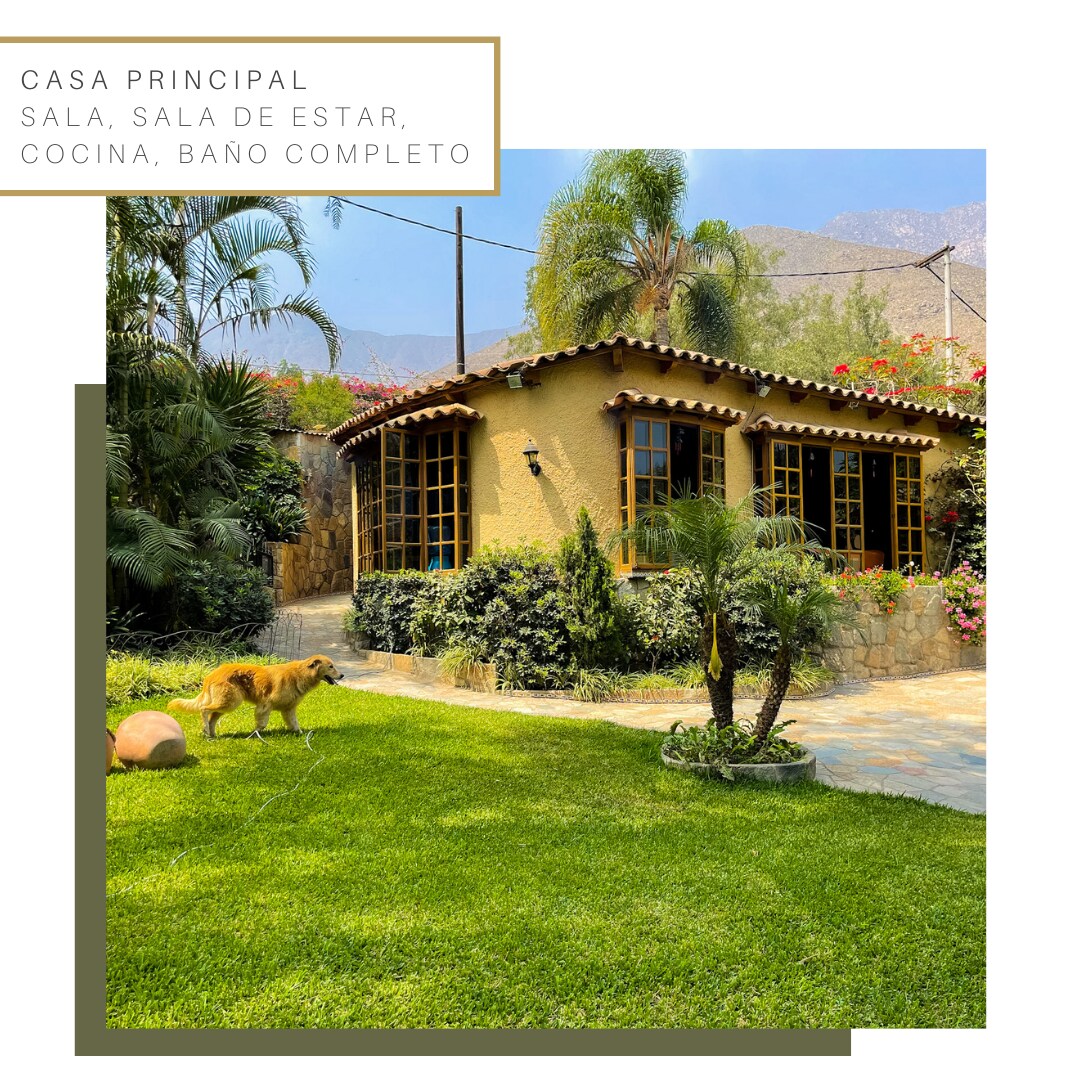 Villa with a pool for 14 guests - Santa Eulalia