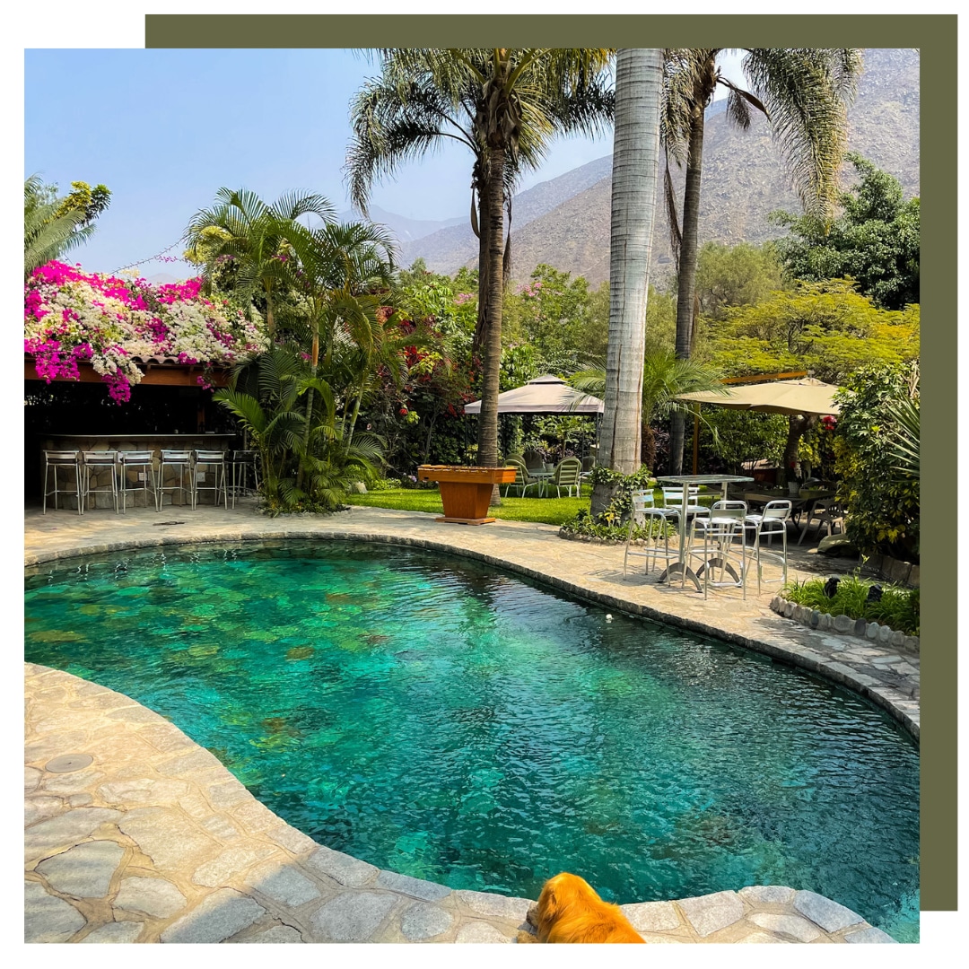 Villa with a pool for 14 guests - Santa Eulalia