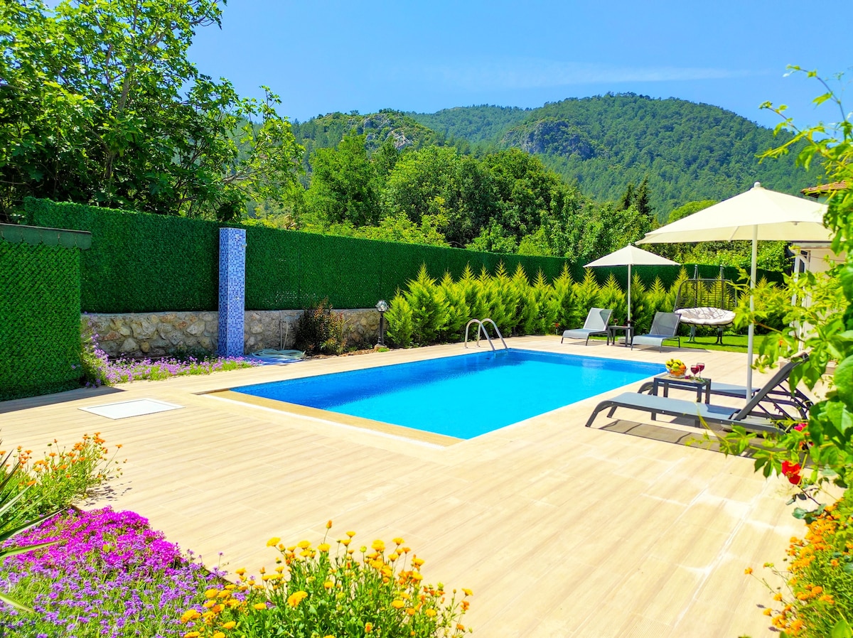Villa Limon -位于自然私人泳池