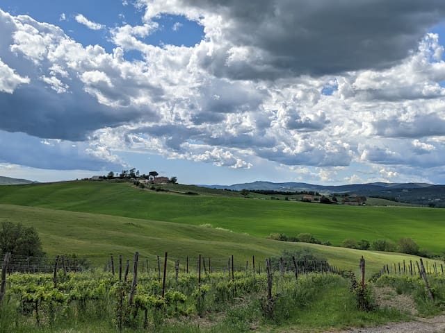 蒙达奇诺 (Montalcino)的民宿