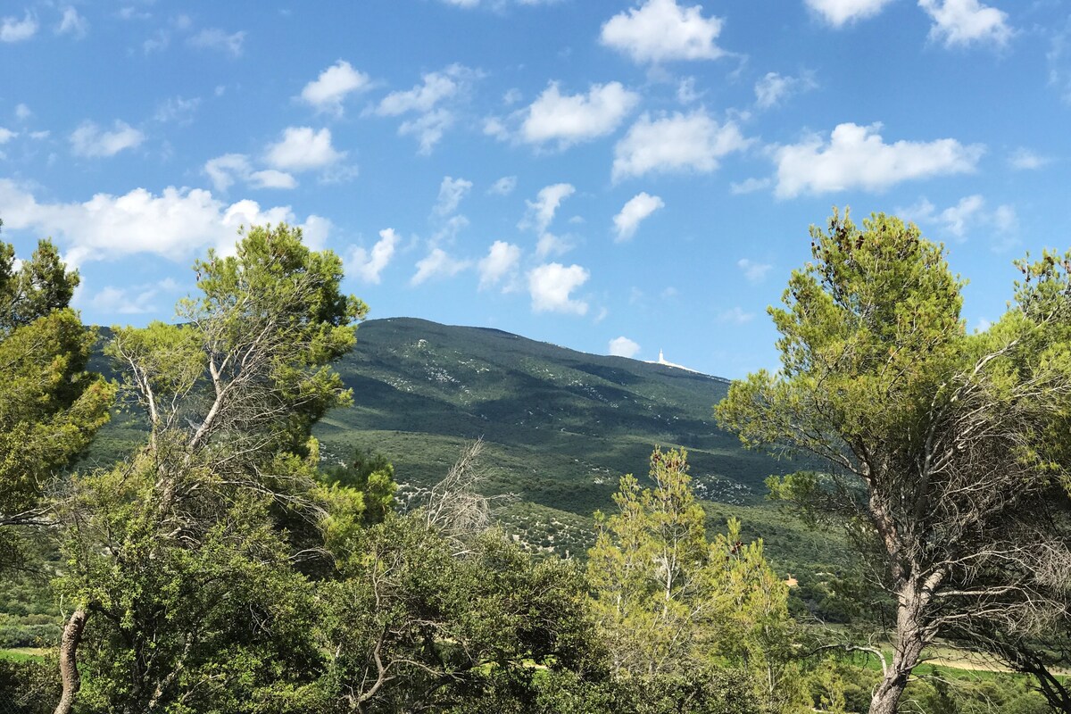 "Villa Garrigue"文图克斯住宿加早餐旅馆