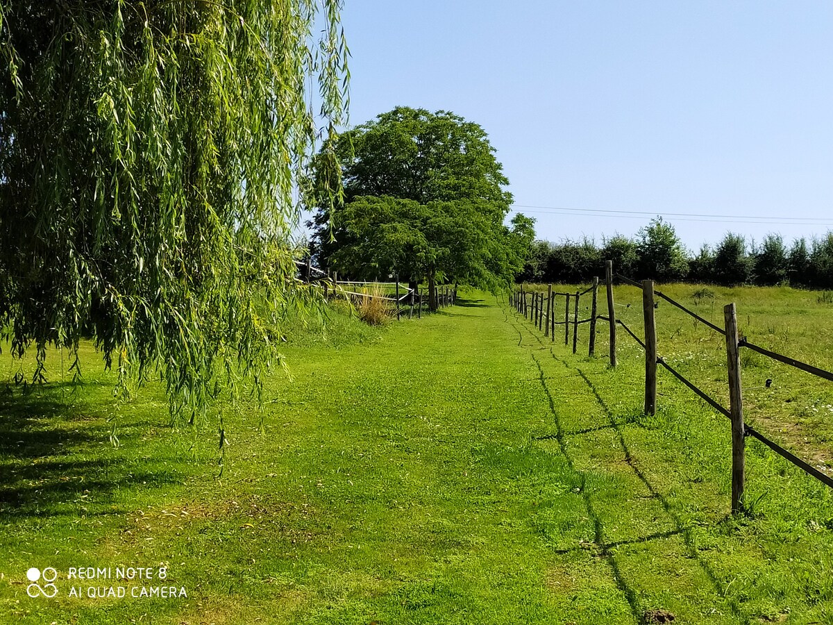 très belle propriété (chevaux et animaux de ferme)