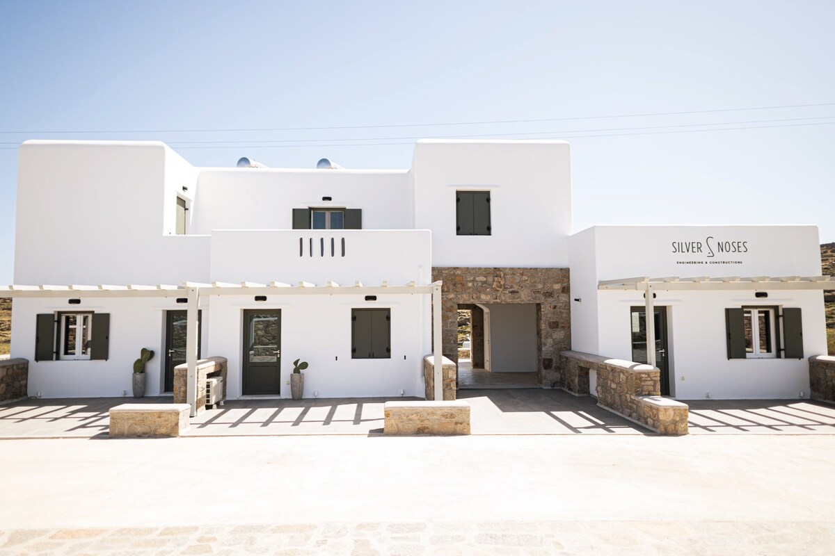 SilvAir I by Silvernoses, Mykonos