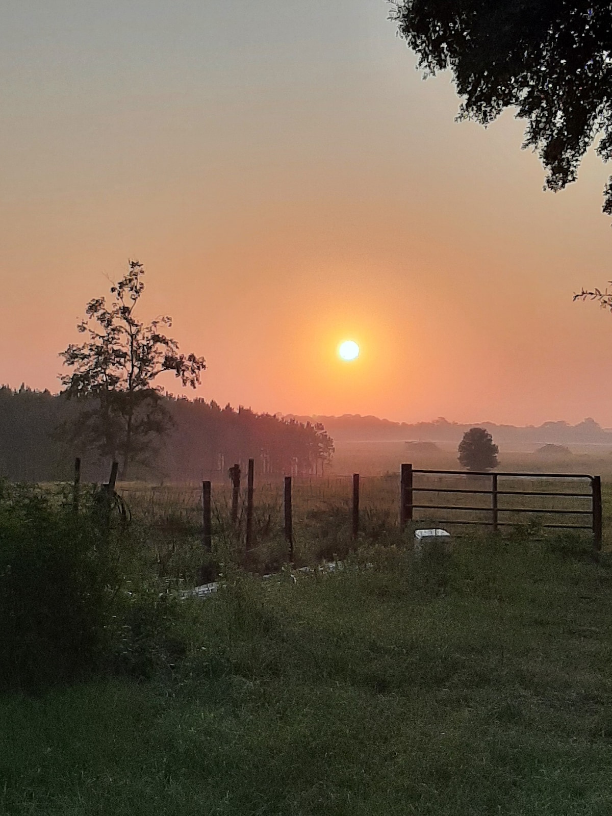 Sunset Hilltop Farm