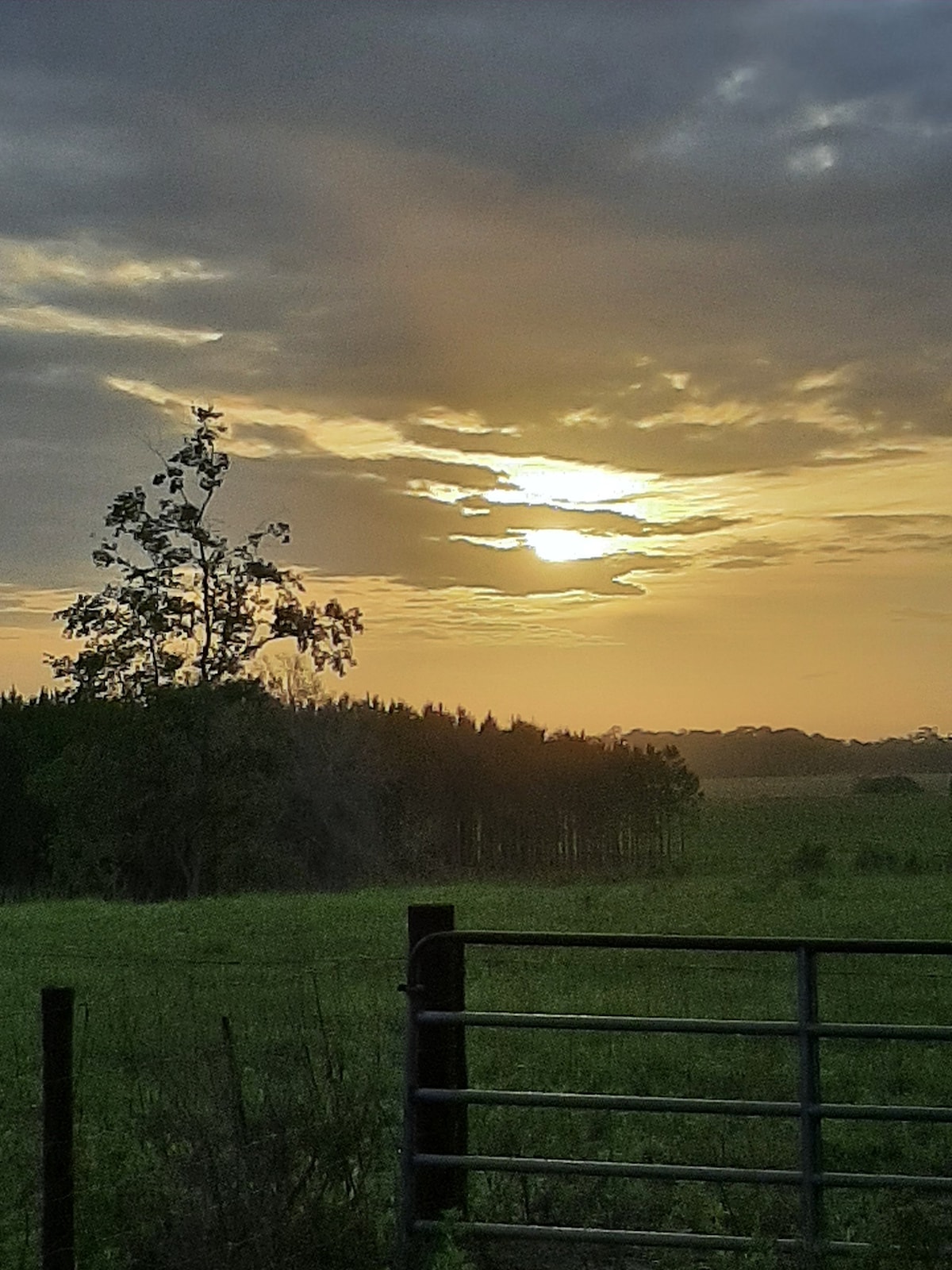 Sunset Hilltop Farm