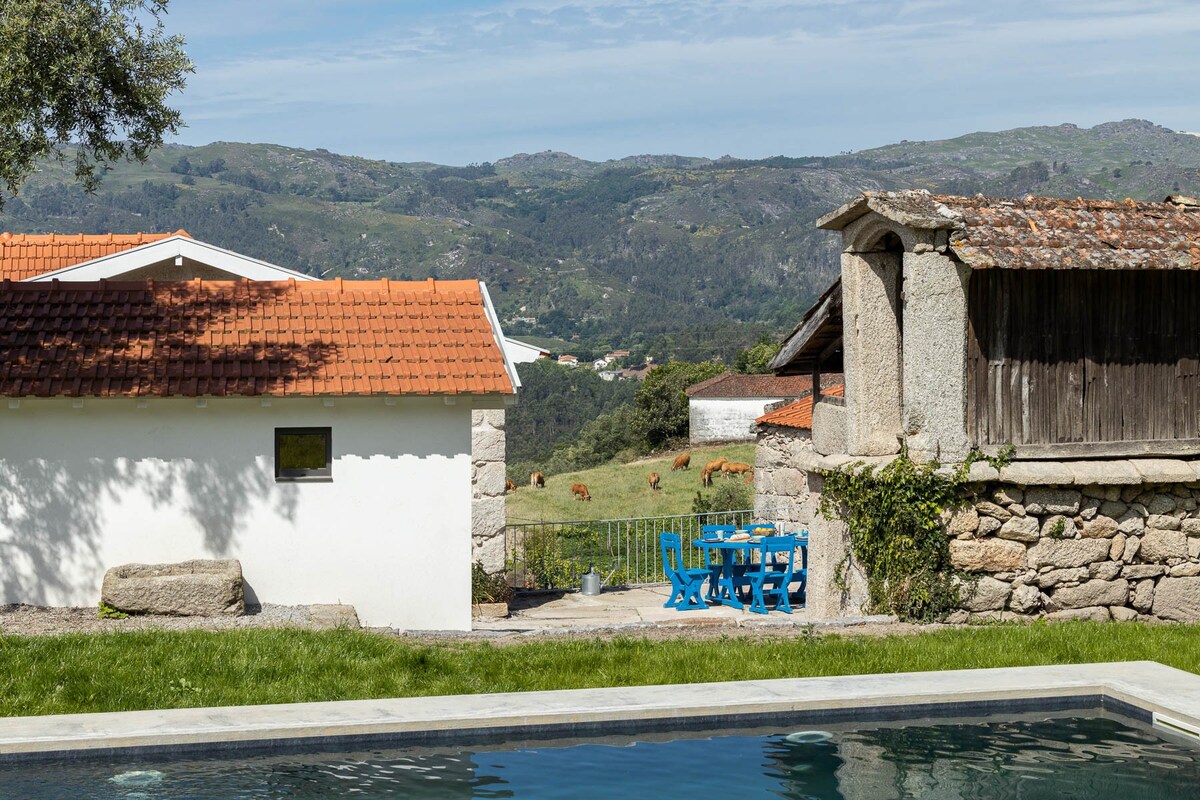 Casa Candida （隔壁的母亲之家和房子）