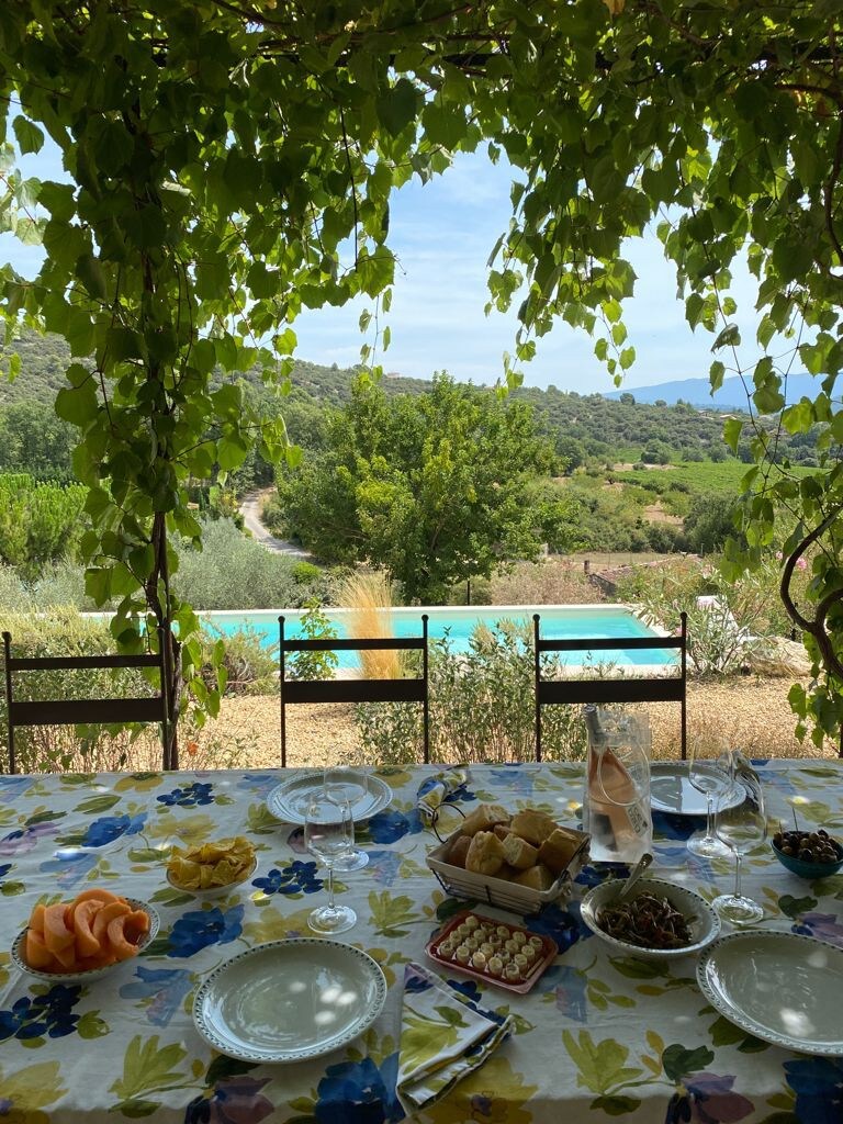 Charming villa on stunning pool and Luberon valley