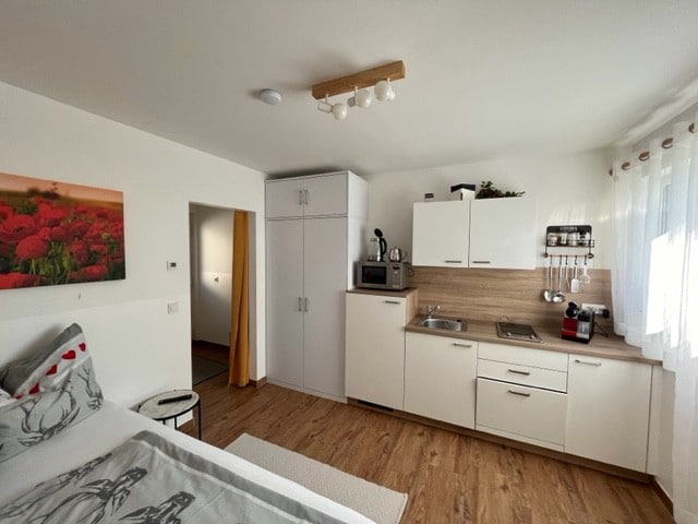 「小公寓」单间公寓19平方米，可入住1-2人，顶级设备